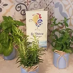 La Chicca Tatil Evi Ostuni