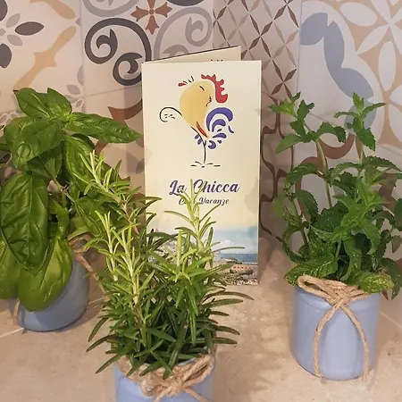 La Chicca בית נופש אוסטוני